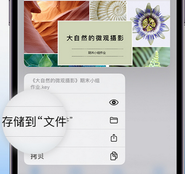 甘南apple维修中心分享iPhone文件应用中存储和找到下载文件