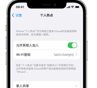 甘南apple服务站点分享iPhone上个人热点丢失了怎么办