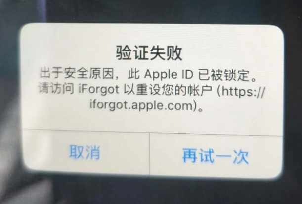 甘南iPhone维修分享iPhone上正常登录或使用AppleID怎么办 