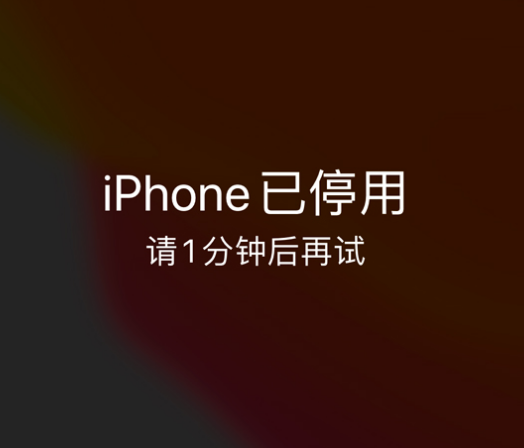 甘南苹果手机维修分享:iPhone 显示“不可用”或“已停用”怎么办？还能保留数据吗？ 