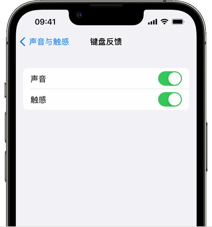 甘南苹果14维修店分享如何在 iPhone 14 机型中使用触感键盘 