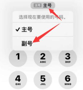 甘南苹果14维修店分享iPhone 14 Pro Max使用副卡打电话的方法 