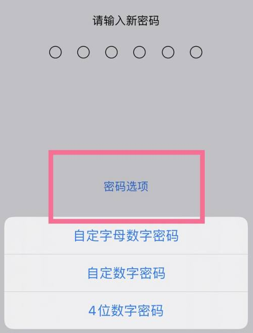 甘南苹果14维修分享iPhone 14plus设置密码的方法 