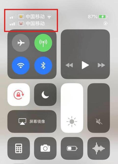 甘南苹果手机维修分享为 iPhone 12 双卡设置标签 